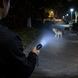 Ліхтарик + відлякувач BL 1158 / Електрошокер-ліхтар Police-1158 / LED ліхтар ручний sp5386 фото 3